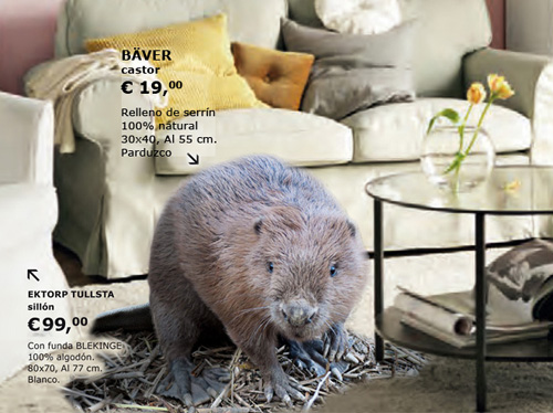 Catálogo para el castor_500