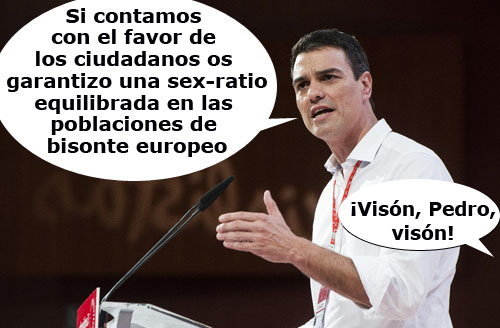 PSOE CONGRESO