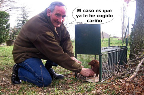 Captura VA con peana 500