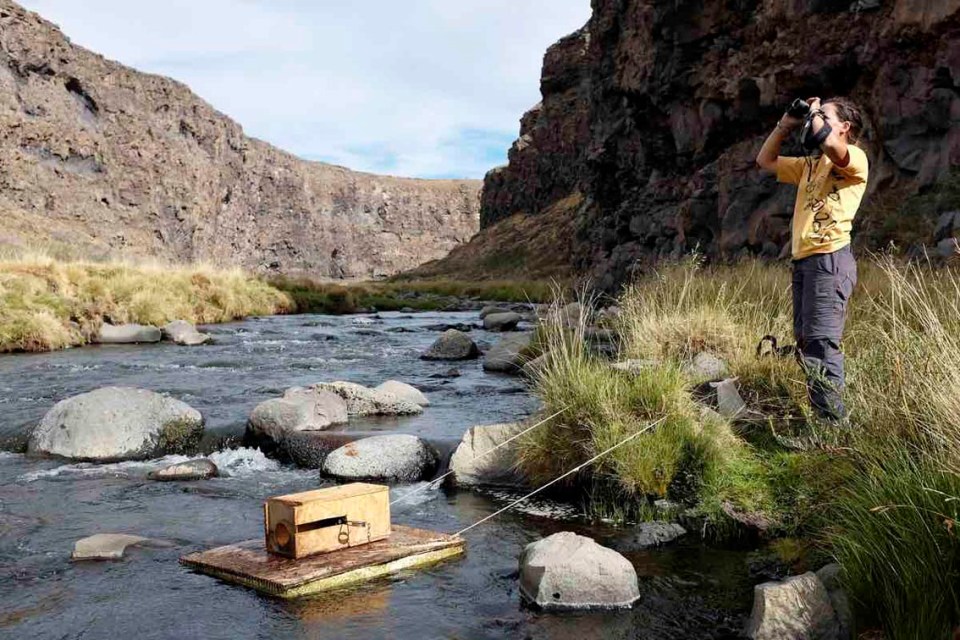 Plataformas sin complejos 1