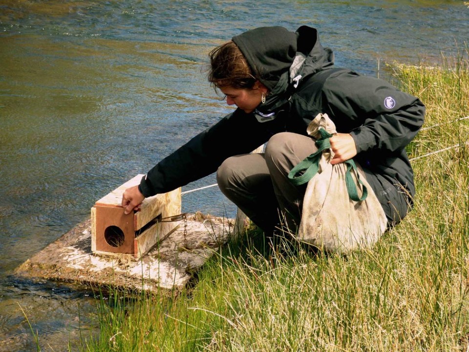 Plataformas sin complejos 2