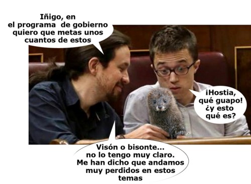 El visón y la nueva política