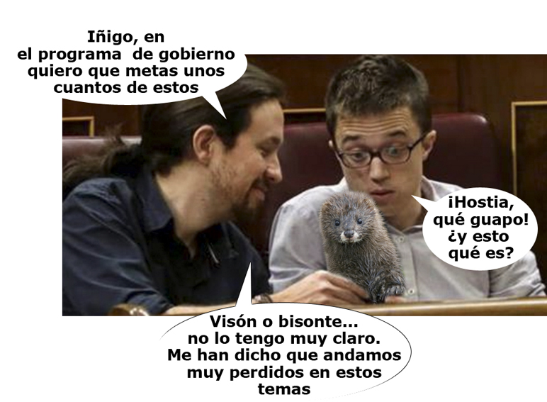 El visón y la nueva política