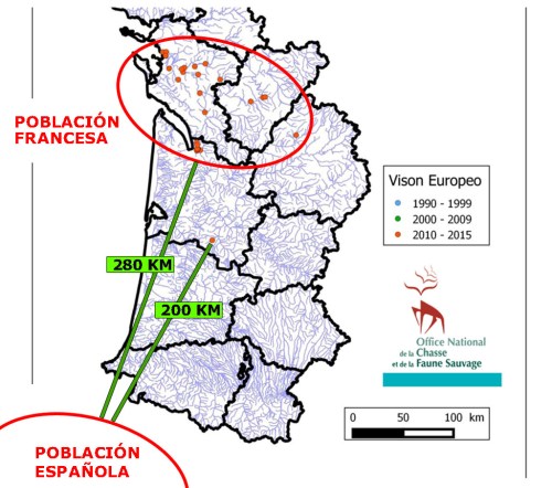 Présentation PowerPoint