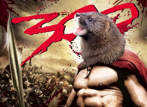 Quedan 300 y bajando_r